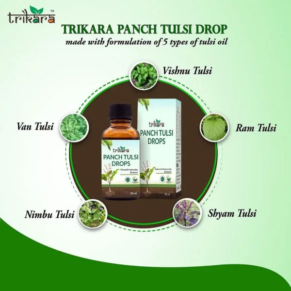 Panch Tulsi Drop