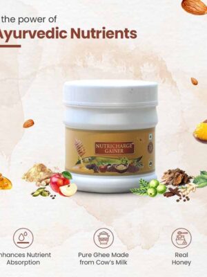 Nutricharge Gainer